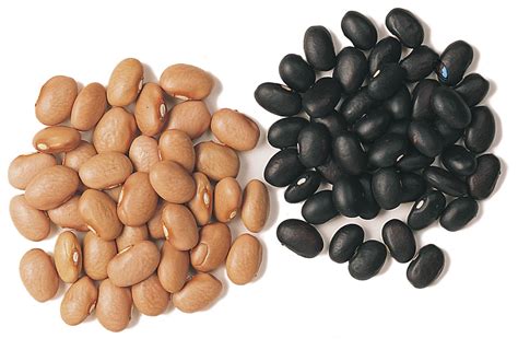 New In Food Grade And Edible Beans Country Guide