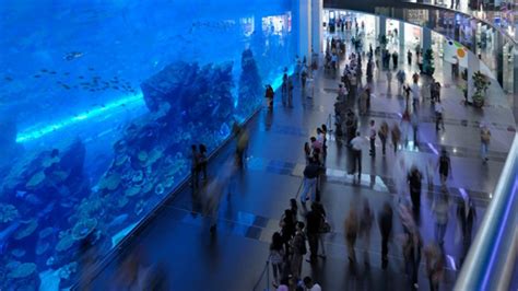 The Worlds Best Aquariums Condé Nast Traveller India