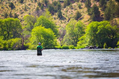 Fly Fishing In Oregon An Anglers Guide Into Fly Fishing