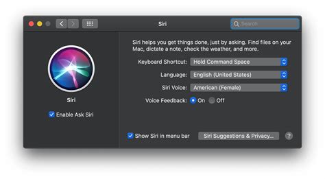 How To Use Siri On A Mac Nektony