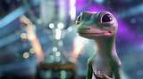 Photos of Geico Commercial Insurance