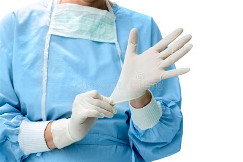 Doctor Putting On Medical Gloves Stock Photo Image