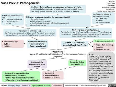 In their cohort as defined. Vasa Previa: Pathogenesis | Calgary Guide