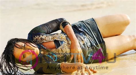 Actress Reema Sen Attractive Hot Sexy Stills 242128 Galleries And Hd