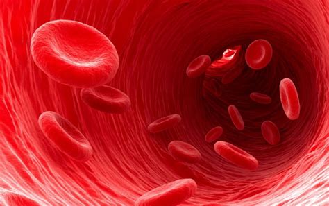 Looking for best way to clean up blood? Clean Your Arteries Naturally - For Pennies A Day - Off ...