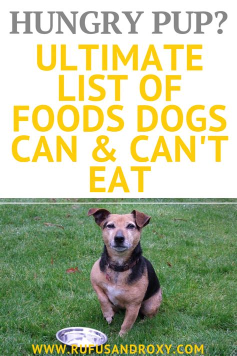 Difficulty swallowing is also called dysphagia. Ultimate List of Foods Dogs Can't Eat... and What They Can ...