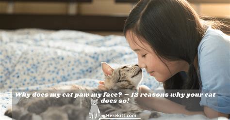 Why Does My Cat Paw My Face 12 Reasons Why Your Cat Does So