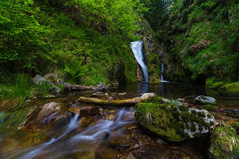 National Park Black Forest Landscape Portfolio On Behance