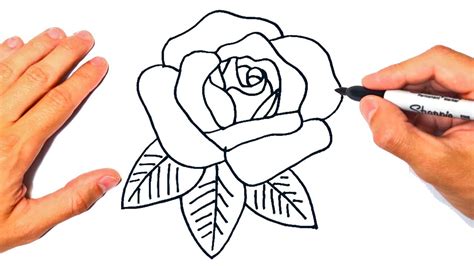 Cómo dibujar una Rosa Paso a Paso YouTube
