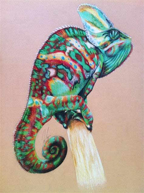 Veiled Chameleon By Hyokenseisou On Deviantart