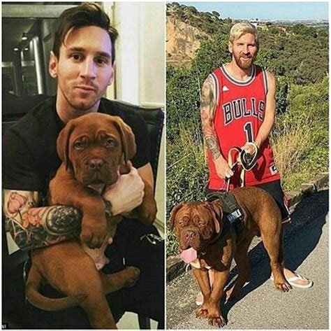 Video, 00:00:30messi has a kickabout with his dog. Barcelonistkinja! on Twitter: "Leo and Hulk! 😁🐕👌 #LeoMessi ...