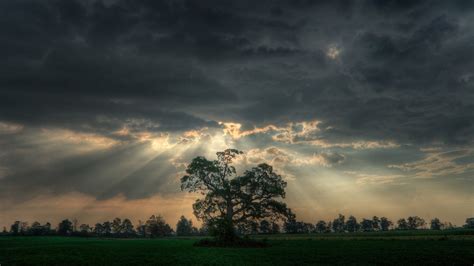 Nature Landscape Trees Clouds Field Sun Rays Forest Grass