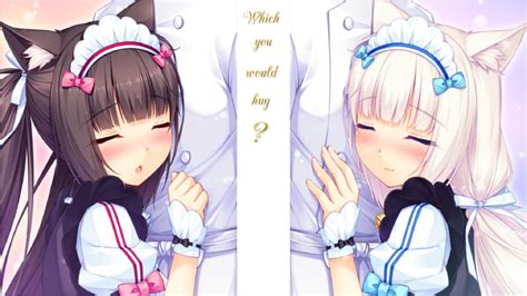 which one would you hug nekopara know your meme