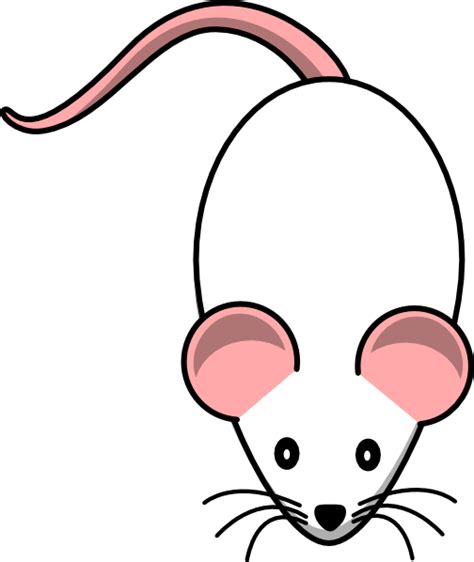 White Mouse Clip Art At Vector Clip Art Online Royalty