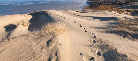 The Dune of Parnidis | Lithuania Travel