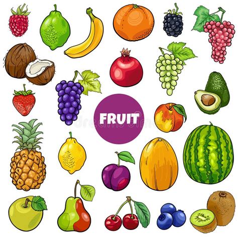 Cartoon Fresh Fruit Food Objects Set Stock Vector Illustration Of