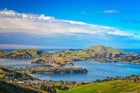 Kiedy Jechać Do Dunedin Klimat I Pogoda 6 Liczba Miesięcy Do Unikania