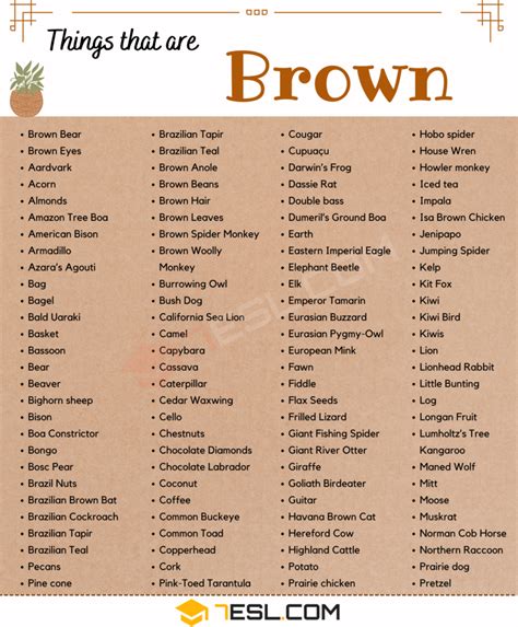 153 Popular Things That Are Brown In English 7esl