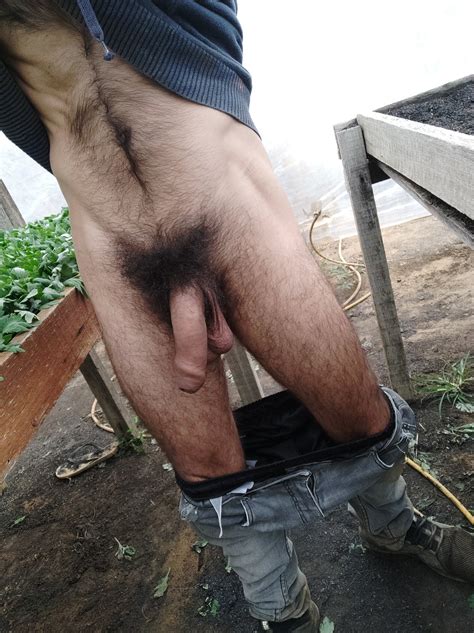 Hairy Man Pubes