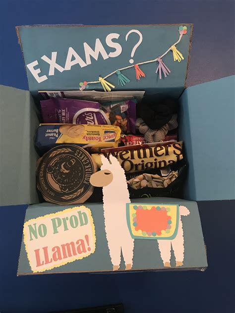 We took all the remember, you're buying a gift for a student. Gift box for the college student...Exams? No Prob Llama ...