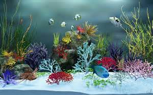 Aquarium 3D Background