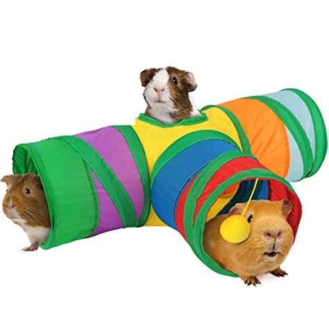 10 Best Guinea Pig Toys Reviews And Buying Guide In 2023