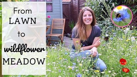 I Planted A Wildflower Meadow Amazing Lawn Transformation From