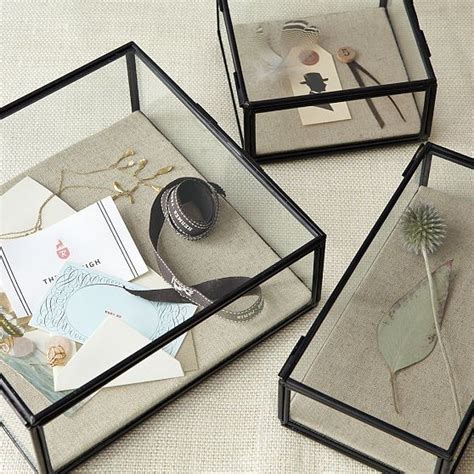 Glass Shadow Boxes Eclectic Storage And Organization By West Elm