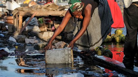 How Today S Cholera Pandemic Was Born Science Aaas