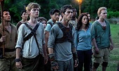 The Maze Runner review – jog on | Film | The Guardian