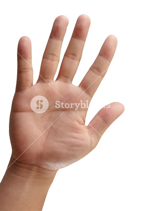 Hand Royalty-Free Stock Image - Storyblocks