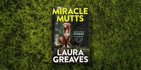Miracle Mutts By Laura Greaves Penguin Books Australia