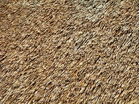 Straw Cottage Roof You Have Permission To Use These Textur Flickr