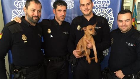 Officer Who Rescued Abused Dog Decides To Give Him A Forever Home