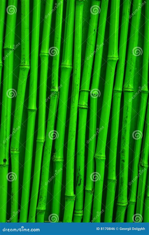 Texture verte en bambou photo stock Image du matériau 8170846