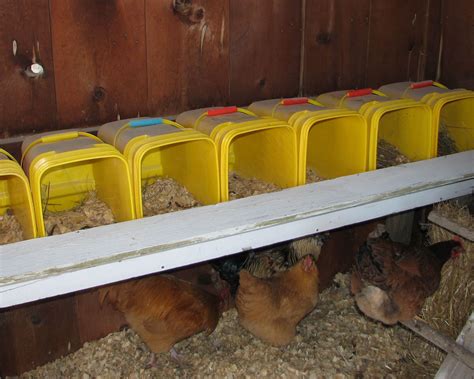 Chicken Update Chicken Nesting Boxes Chicken Diy Nesting Boxes