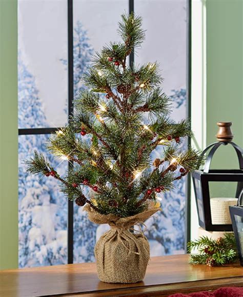 Maybe you would like to learn more about one of these? Lighted Christmas Tree Seasonal Display Woodland Holiday ...