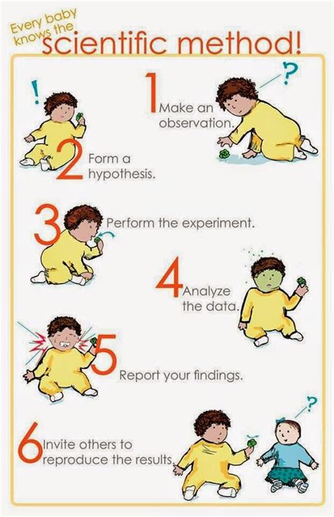 A research methodology is a documentation of the actions performed in the conduct of the investigation. Forensic Multimedia Analysis Blog: Scientific Method