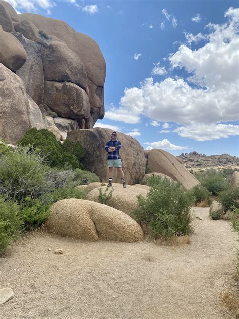 A First-Timer's Guide to Joshua Tree: Discover the Heart of the Mojave