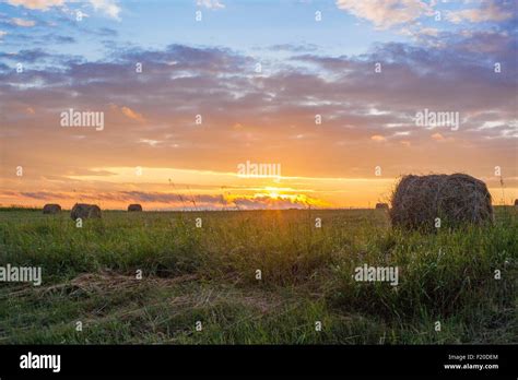 Field Landscape With Hay Bales At Sunset Stock Photo Alamy