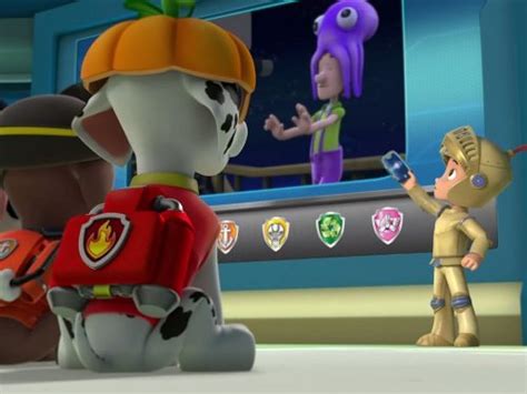 Paw Patrol Pups And The Ghost Pirate Tv Episode 2013 Imdb