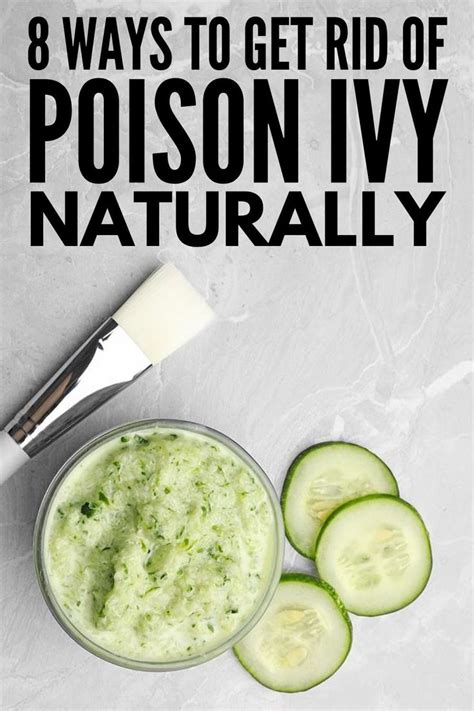 8 Natural Poison Ivy Remedies For Fast Relief That Lasts Poison Ivy