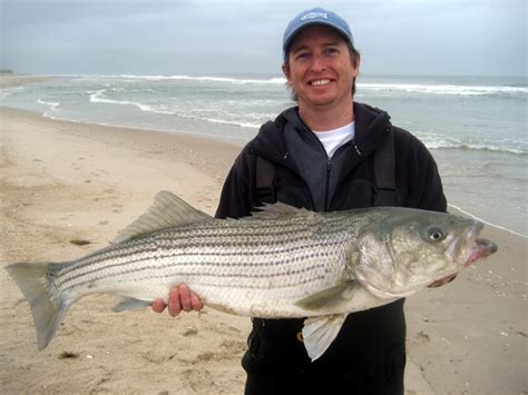 Planning A Surf Fishing Trip The Gorgeous Outer Banks Nc