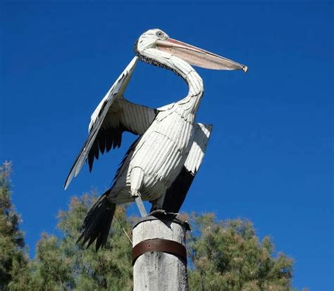 Pelican Sculpture Pelican Sculpture Bird Photos Animals Painting