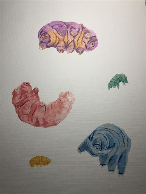 Water Bears Tardigrades For My Second Ever Watercolor First Time On