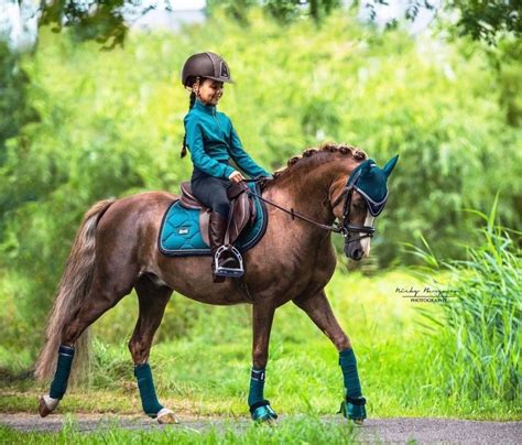 Benefits Of Horseback Riding For Kids Artofit