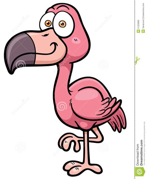 Flamingo Stock Vector Image 51223860