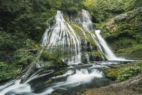 A Forest Paradise At Panther Creek Falls Aspiring Wild