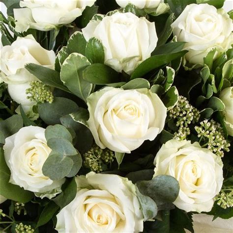 Dozen Long Stemmed White Roses