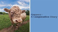 Watch Grazers: A Cooperative Story Full Movie Free Online - Plex
